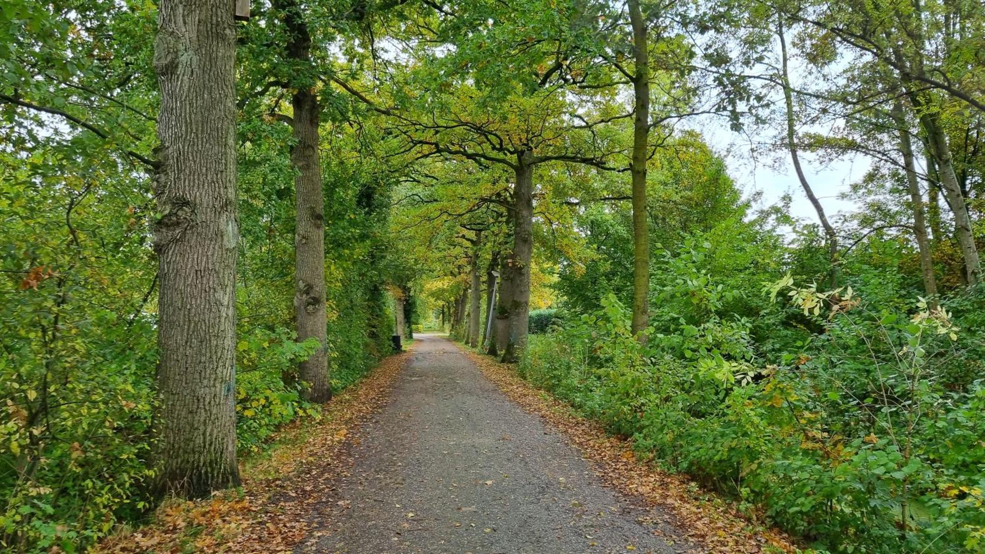 Het Huys Ewijk Mooi Luxe En Een Laadpaal Exterior foto